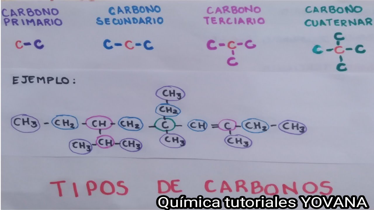 Tipos de Carbono.