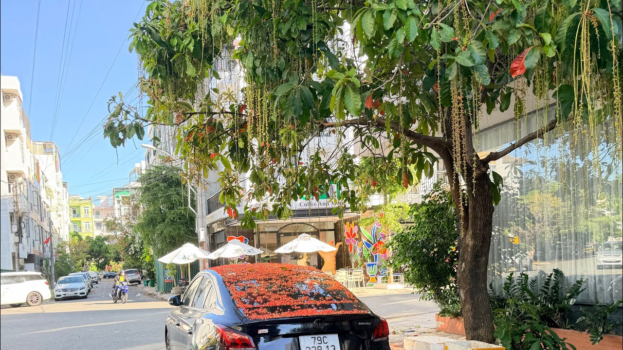 Chủ nhật 1-3