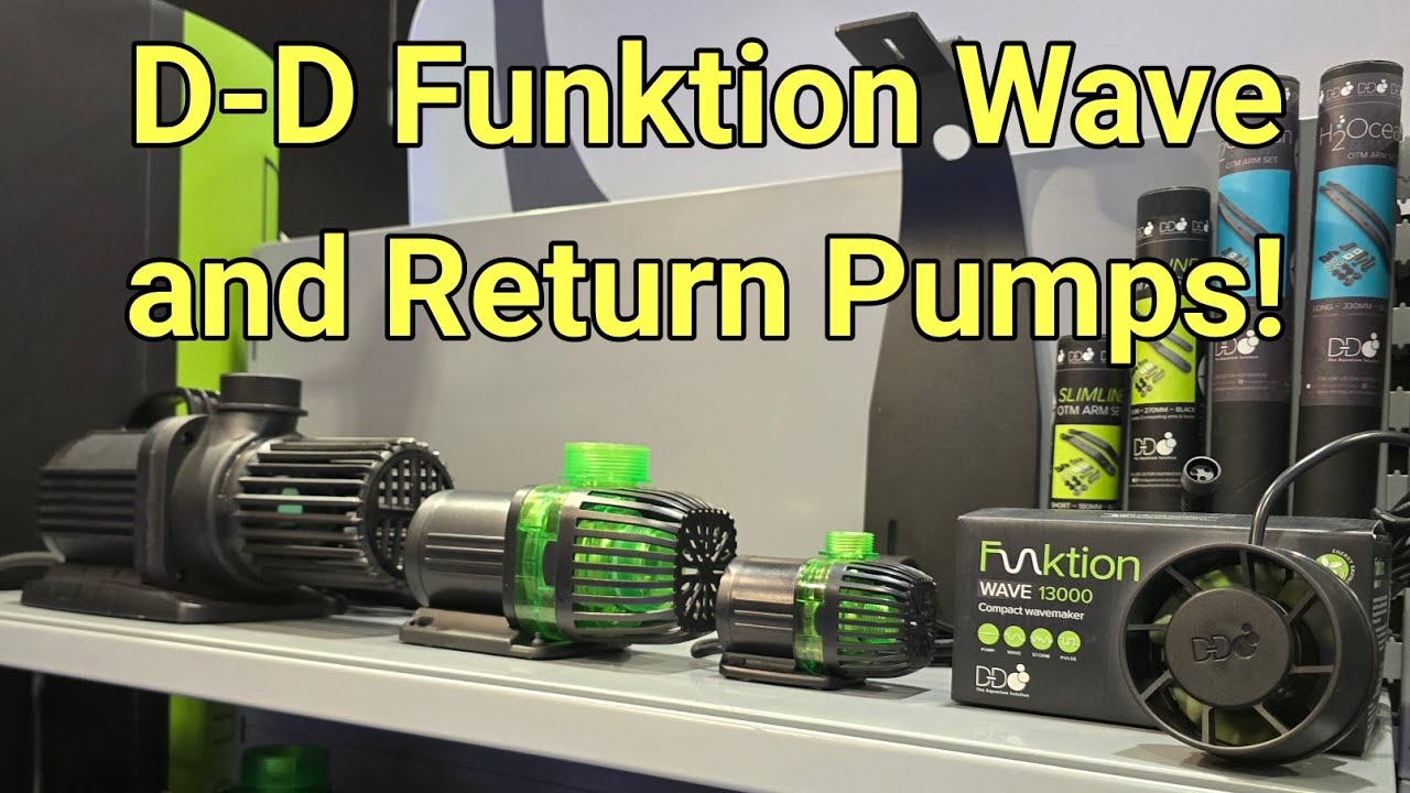 Первый взгляд на головки и возвратные насосы D D Funktion Wave | AquaH 2025