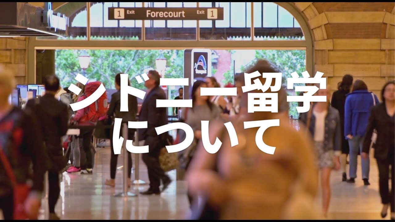 【現地に住む留学カウンセラーが解説】シドニーってどんな都市？どんな人に向いてるの？