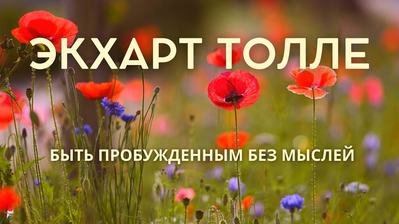 Быть пробужденным без мыслей - ЭКХАРТ ТОЛЛЕ [NikOsho]