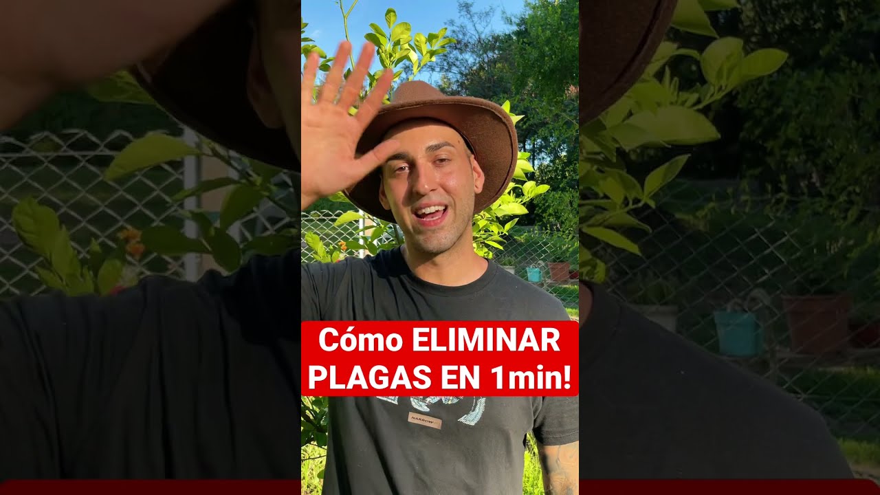 No M&Aacute;S PLAGAS En Tus PLANTAS❗️ Usando Este INSECTICIDA SUPER-POTENTE 🎇