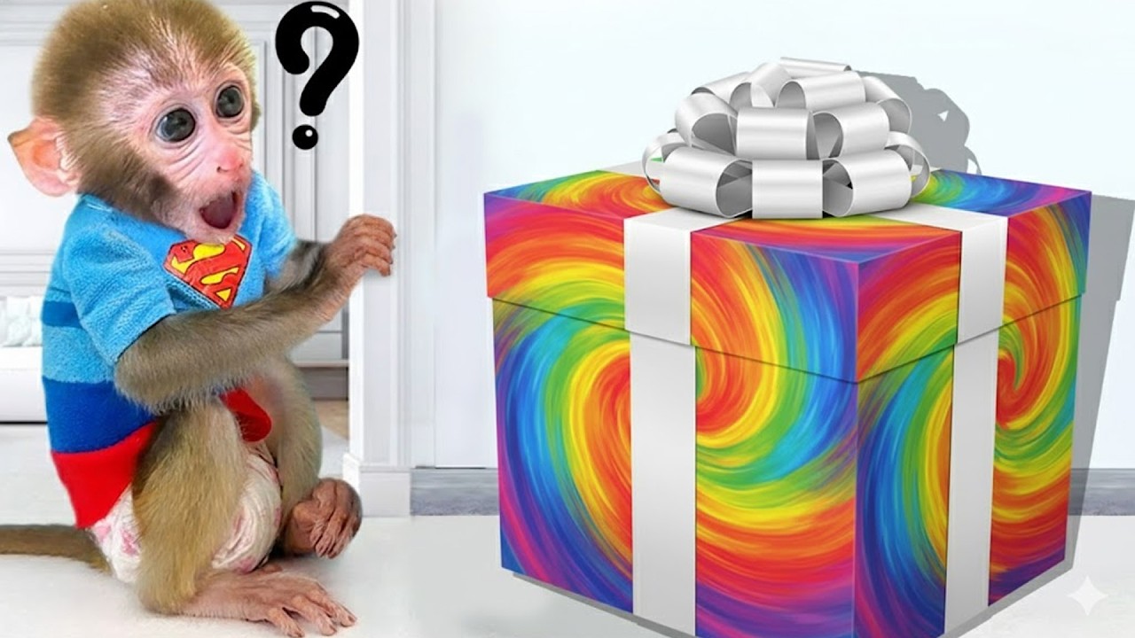 Bebé Mono GoGo Abre El Regalo Misterioso Y Juega Con El Patito Adorable - Gogo ESP