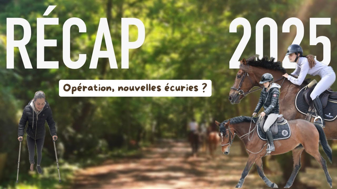 Récap 2️⃣0️⃣2️⃣5️⃣ : Les raisons de mon absence 