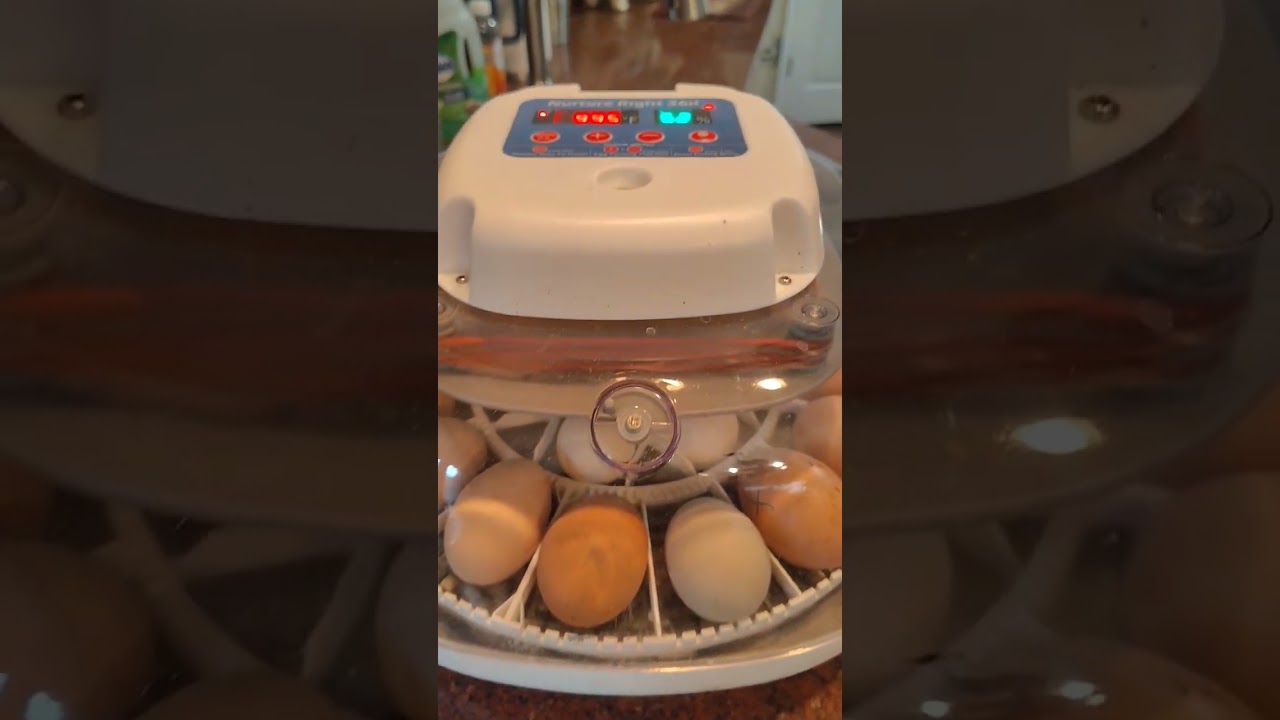 HOW TO USE THE NURTURE 360 INCUBATOR