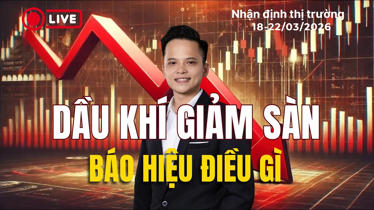 Nhận Định Thị Trường Chứng Khoán 16-20/3/2026: Nhóm dầu khí giảm sàn, báo hiệu điều gì ?
