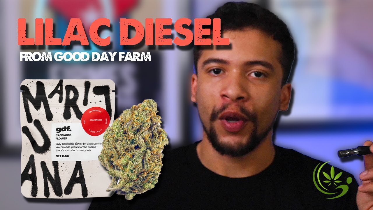 Lilac Diesel | Louisiana Medical Marijuana Review | GDF