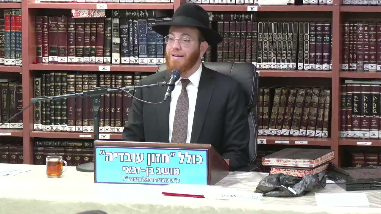 הרב יעקב סיני :  דין אמירה  לגוי בשבת שבות דשבות .