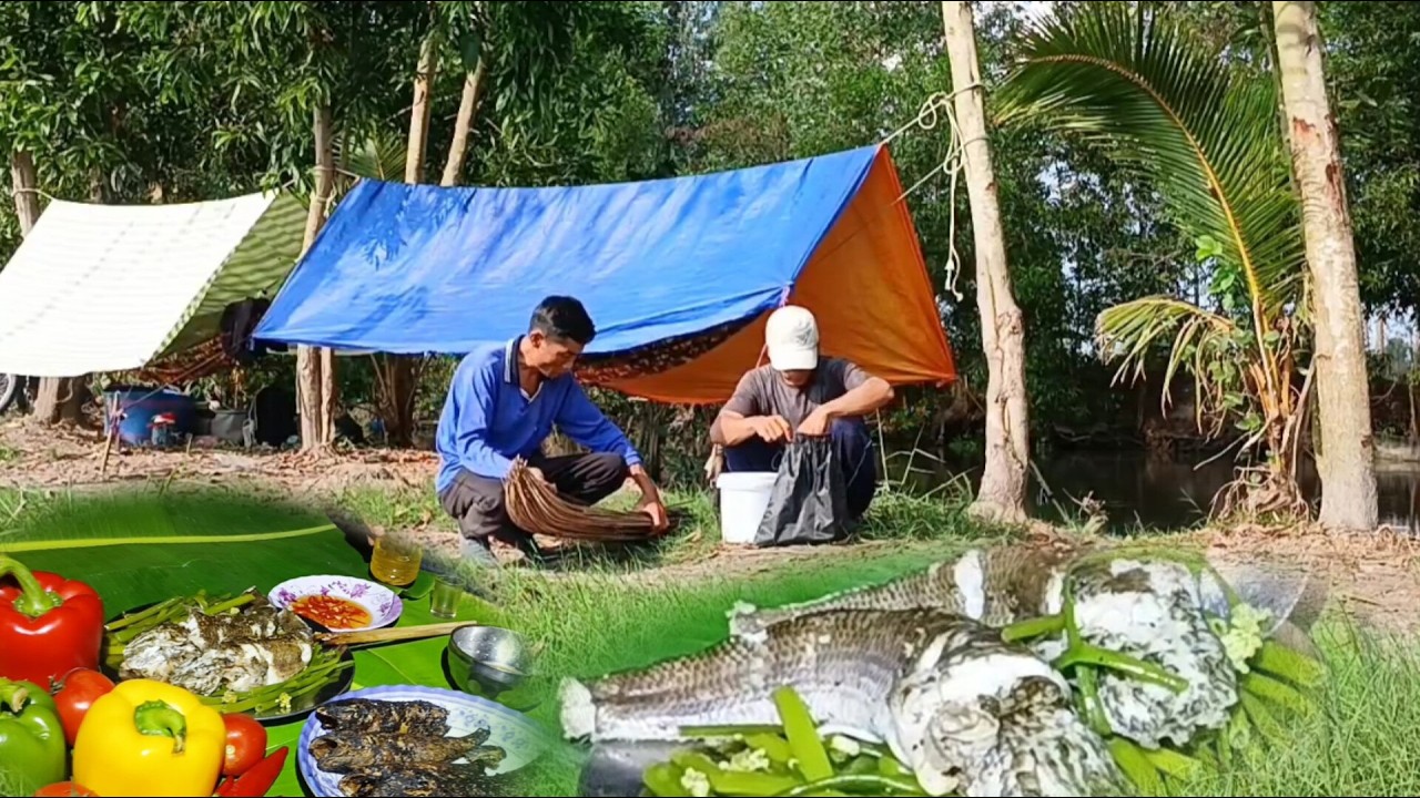 Tập 48 _ Cuộc sống săn bắt cắm câu đêm ll Thưởng thức món cá Lóc hấp bông hành thơm nồng