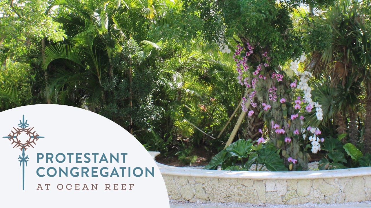 February 15, 2026: The God of More - Rev. Dr. Joe Coffey