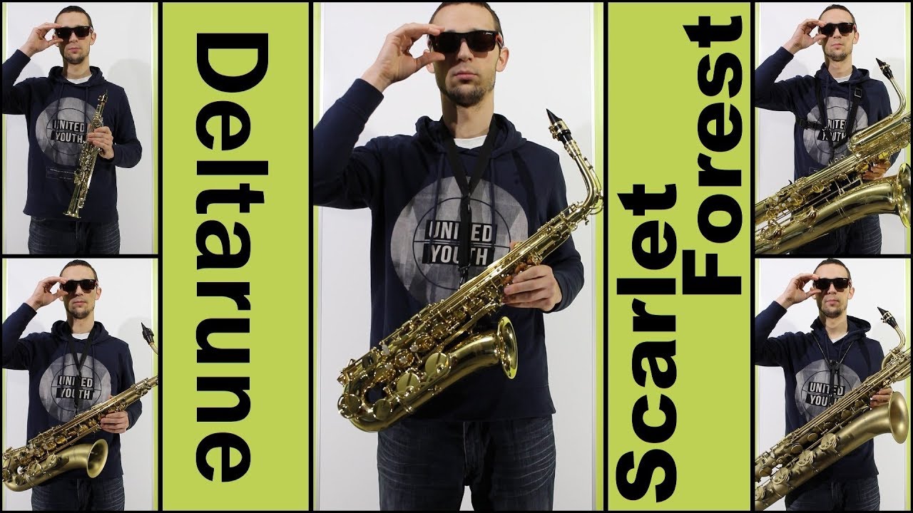 Deltarune Scarlet Forest - saxophone only (a saxapella)