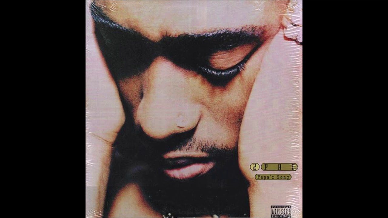 2pac   Papa'z song - vibe tribe remix