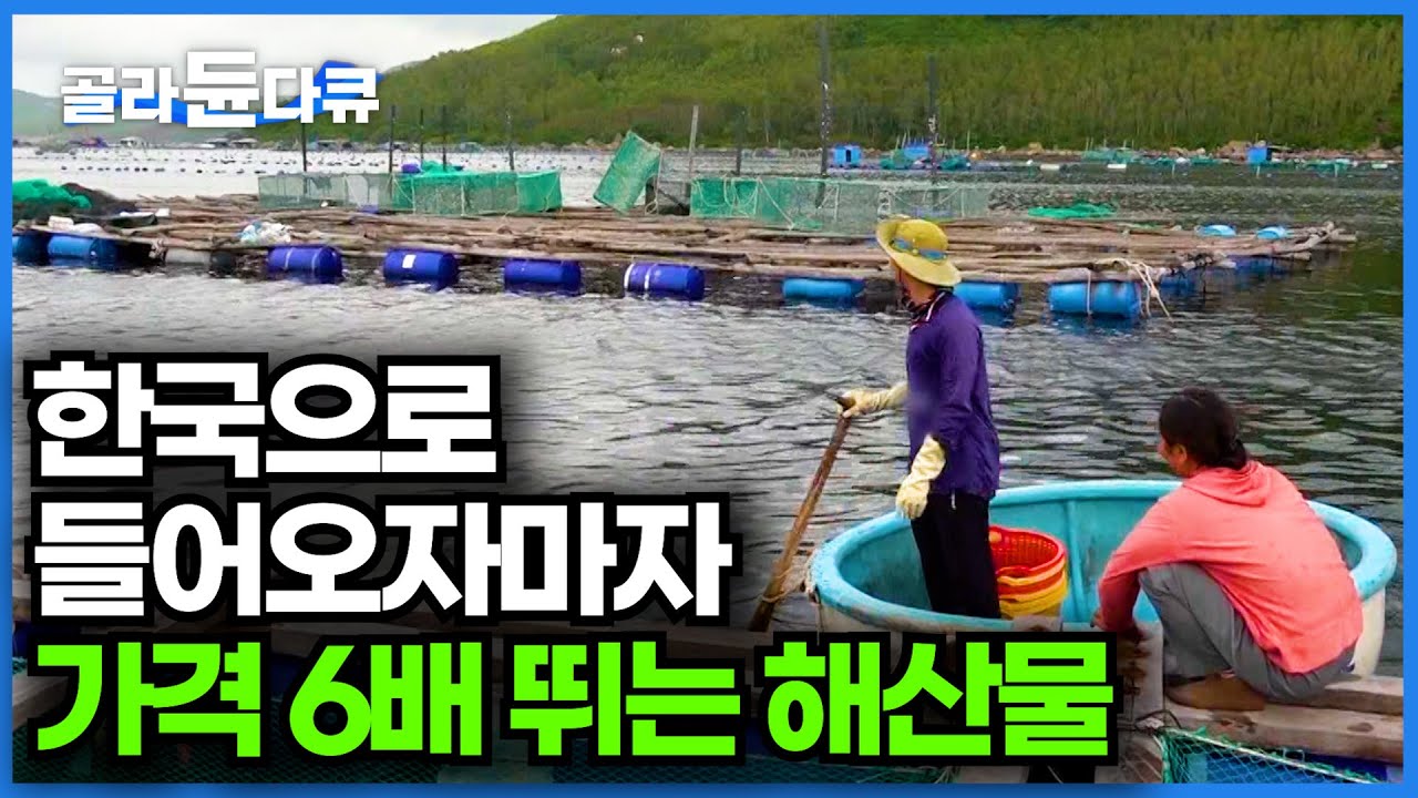 없어서 못 먹는 고급 식재료. 7,000개 규모 양식장에서 키우는 역대급 해산물ㅣ밤에 바다에 보초 서가며 키우는 해산물 정체ㅣ크레이피시ㅣ극한직업│#골라듄다큐