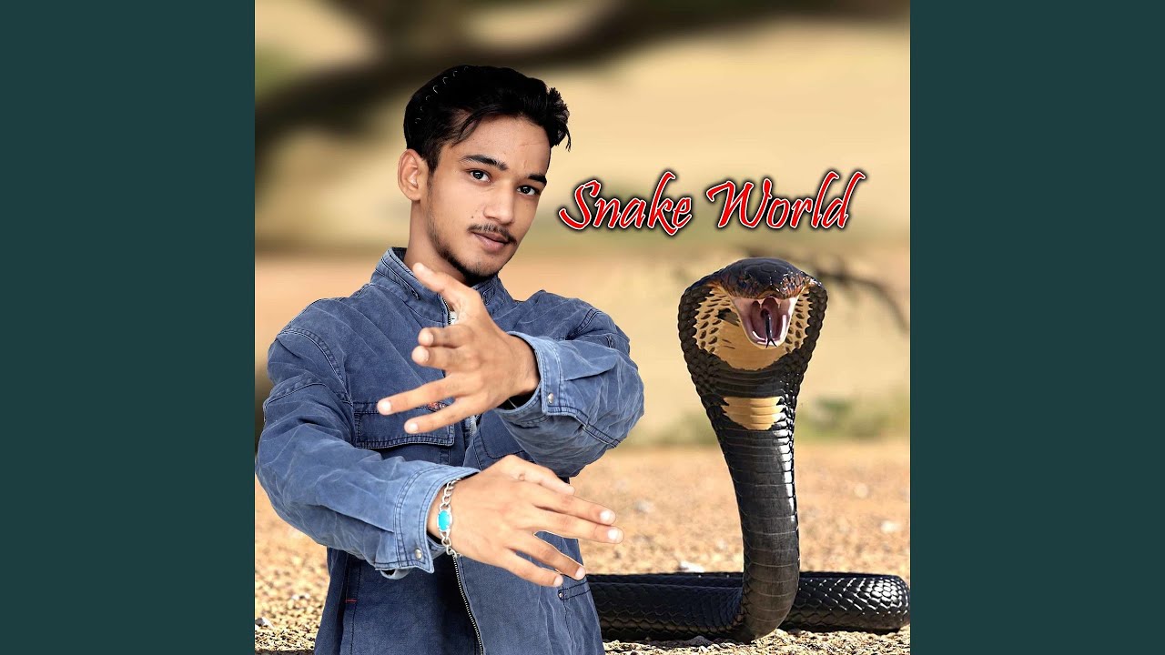 Snake World
