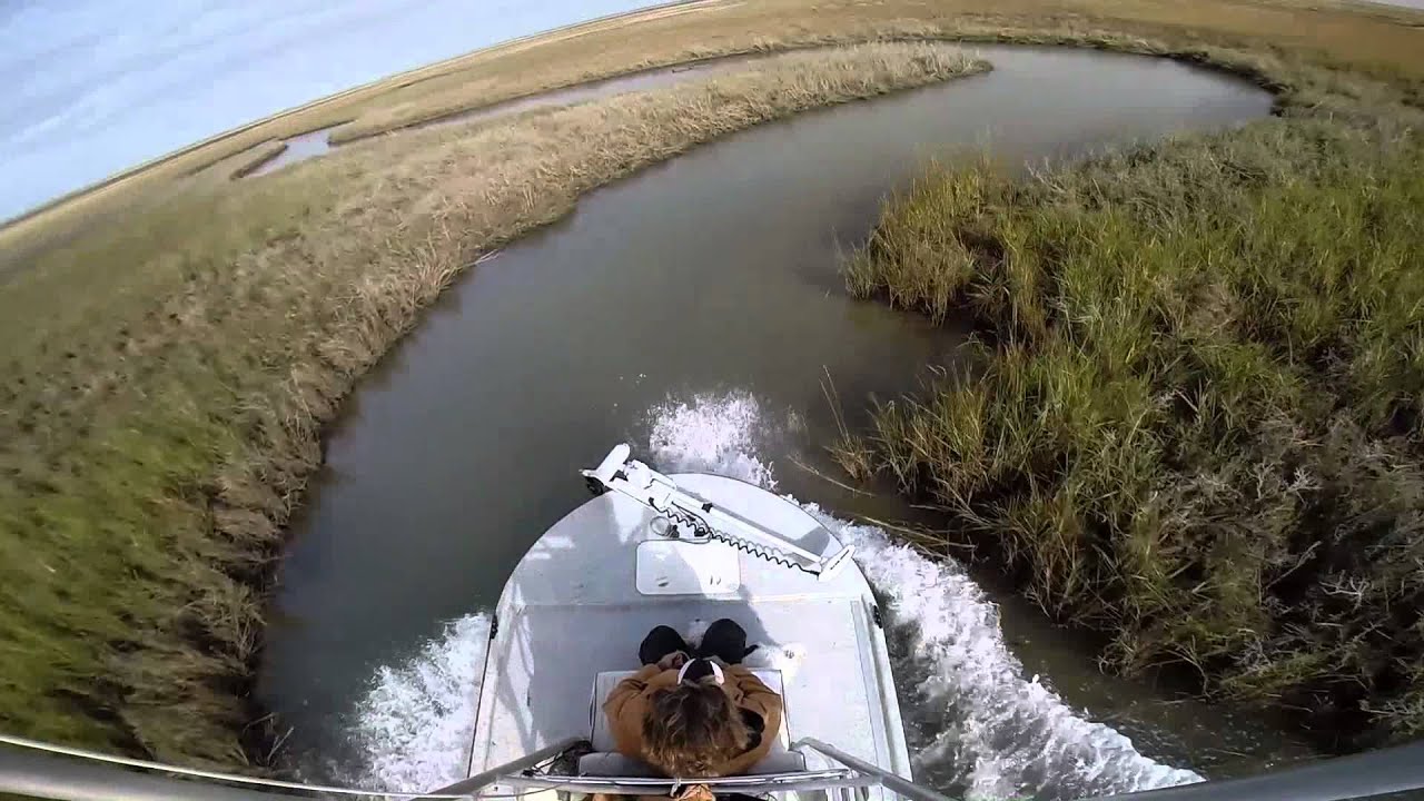 14.5' Shoalwater cat video