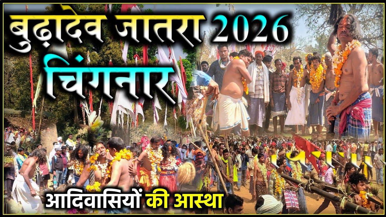 Budhadev Jatra 2026 | करसाड़ चिंगनार कोंडागांव | 7 भाइयों का मंडा | Trible Culture