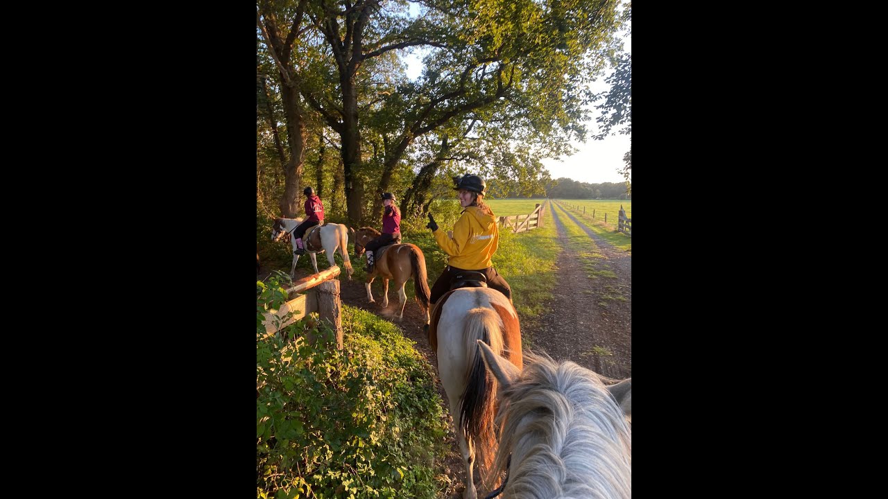 Rc Het Fjordenpaard september weekendje 2025