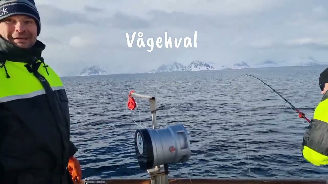 VM i Skreifiske #svolvær #gamle båter #lofoten