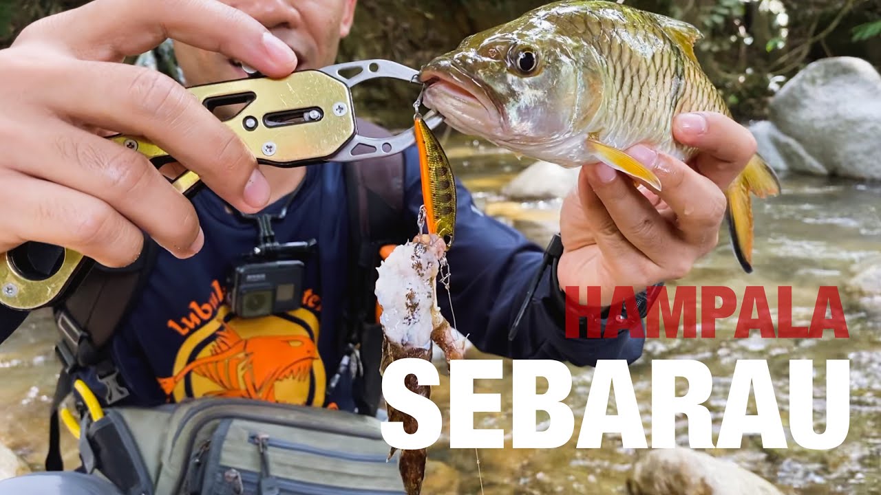 ALLURING SEBARAU 「DUO SPEARHEAD RYUKI & FISHMAN JOINTER」- STREAM FISHING [ENG SUBS]