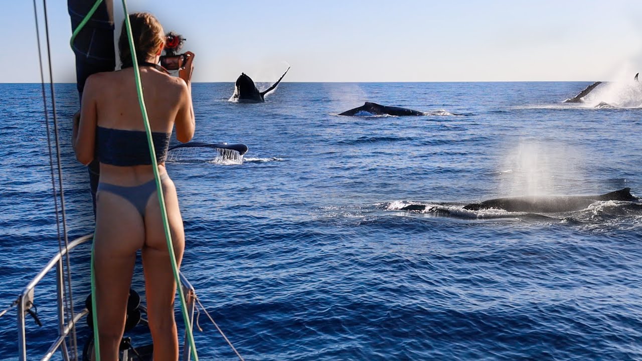 ON A VOYAGE TO THE SOUTHERN OCEAN | The Wild West Leg 1