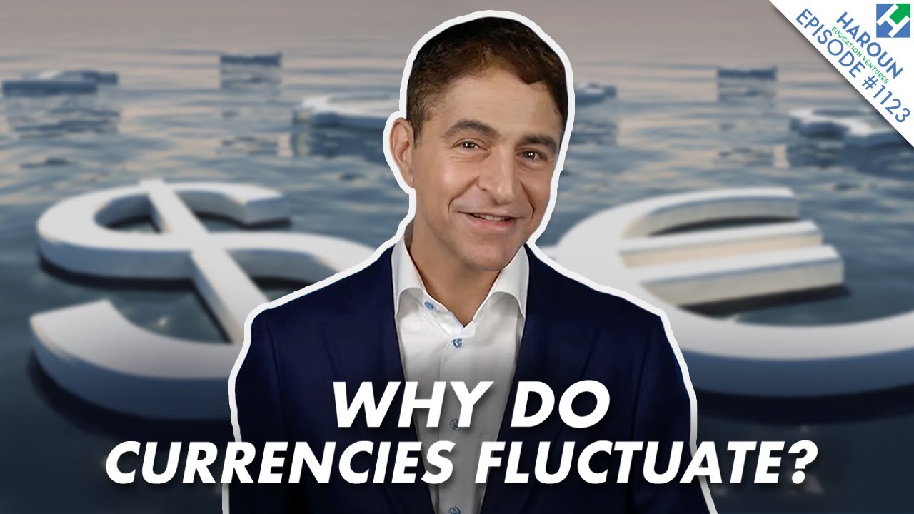 Что заставляет валюты расти и падать? | FX 101 (финансы и финансы)