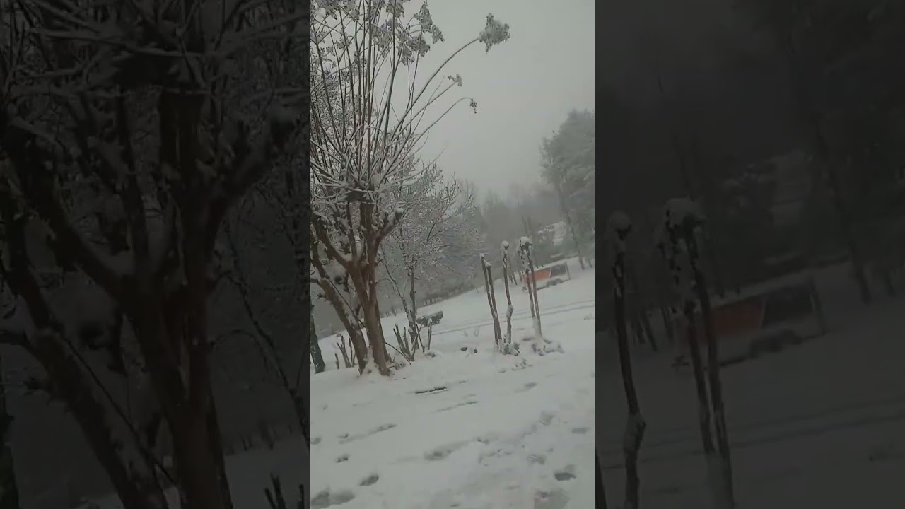 Sledding fail 😢