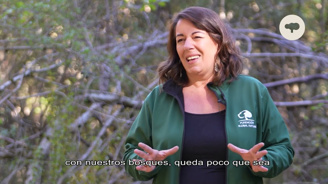 Servicios ecosistémicos: cómo los bosques mejoran nuestra economía