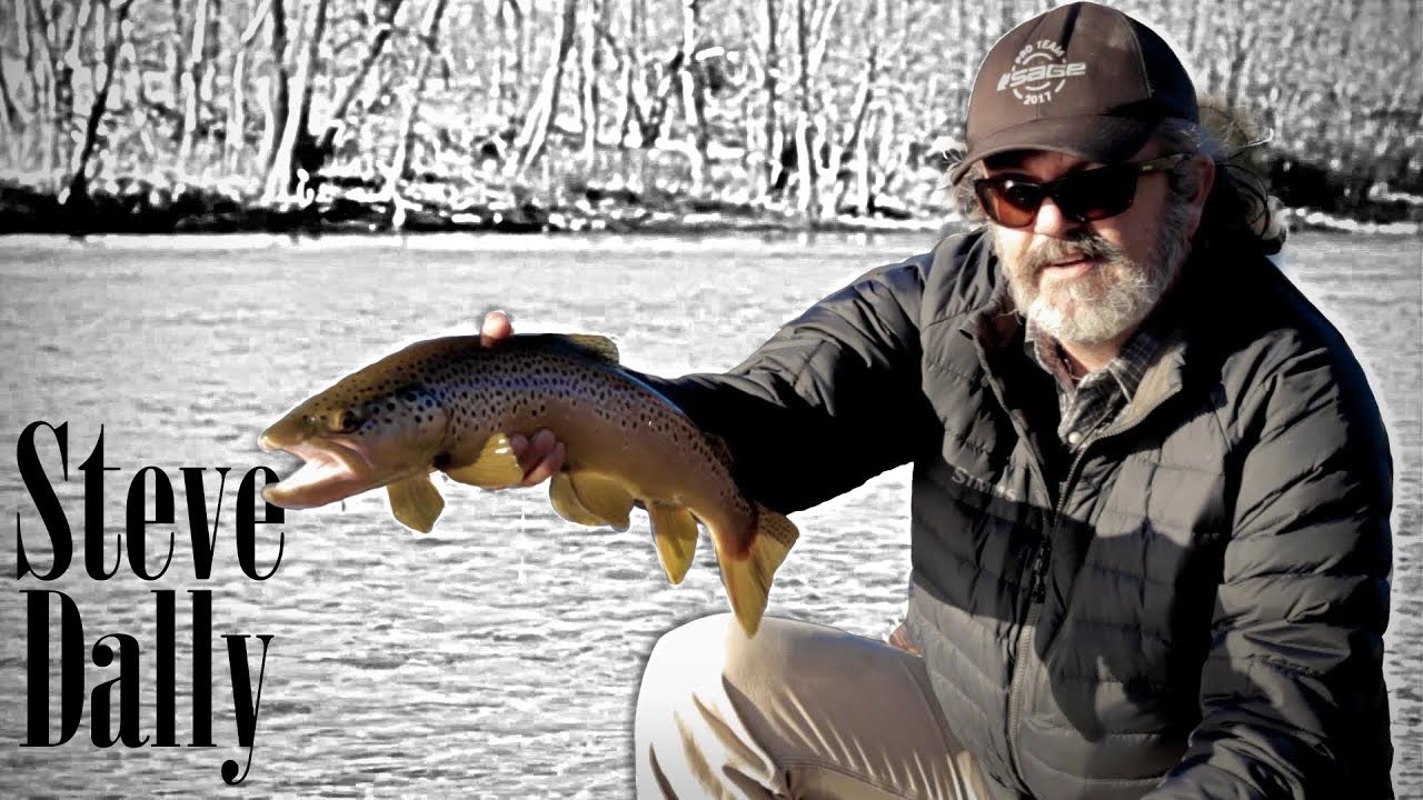 Streamer Chronicles -- Steve Dally