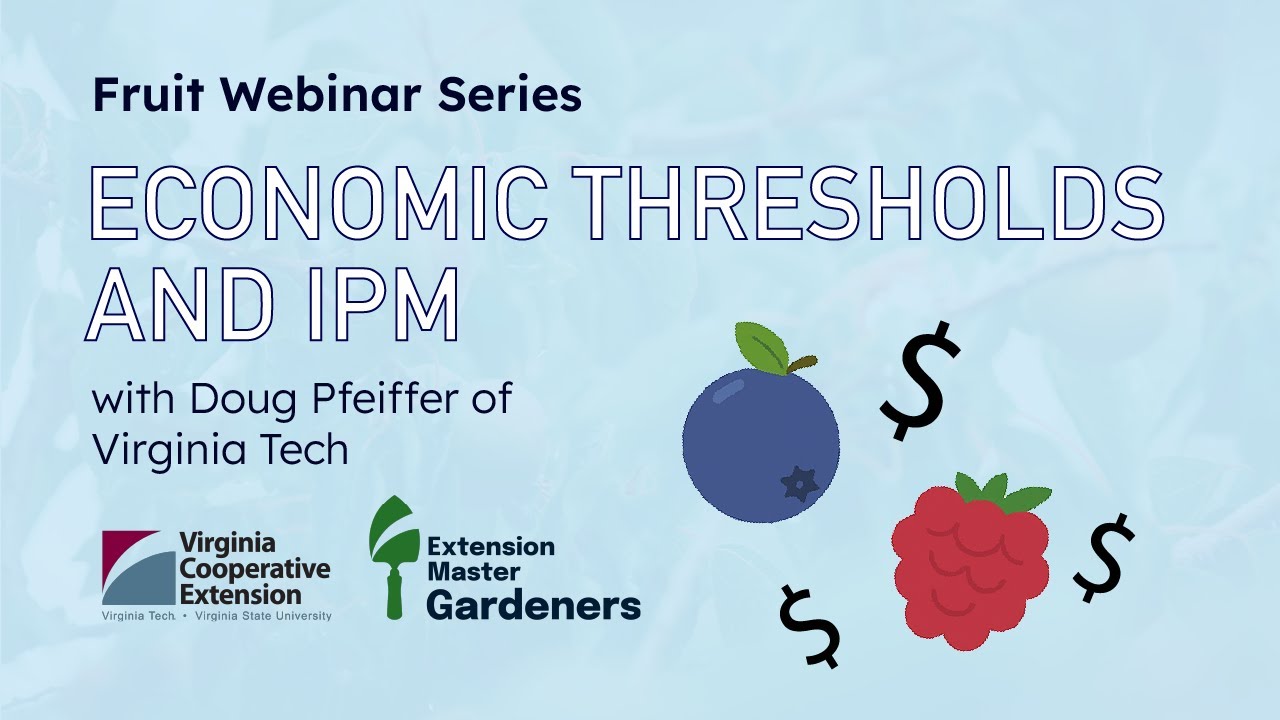 Small Scale Fruits: Economic Thresholds and IPM