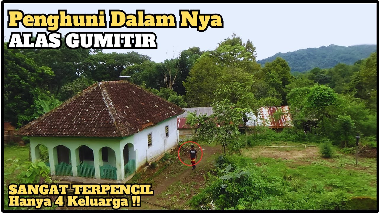 INI DIA Kampung TERSEMBUNYI Di Tengah Hutan Angker Alas Gumitir
