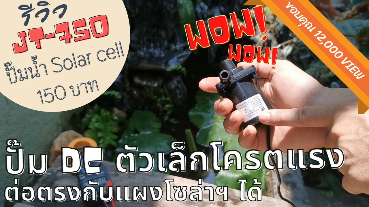 รีวิวปั๊มน้ำ Solar/DC รุ่น JT-750 ตัวเล็กแต่แรงเอาเรื่อง ไฟฟรีถ้ามีแผงโซล่าฯ #ปั๊มน้ำโซล่าเซลล์