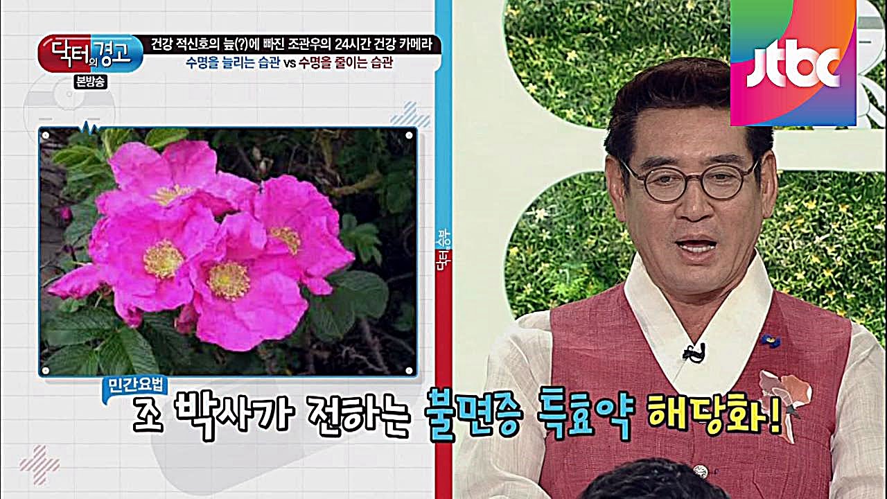 해당화가 불면증 특효약? 조 박사의 민간요법! 닥터의 승부 148회