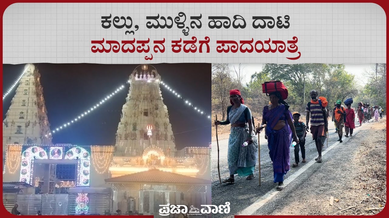 ಕಲ್ಲು, ಮುಳ್ಳಿನ ಹಾದಿ ದಾಟಿ ಮಾದಪ್ಪನ ಕಡೆಗೆ ಪಾದಯಾತ್ರೆ I Chamarajanagar I Male Mahadeshwara I Padayatre