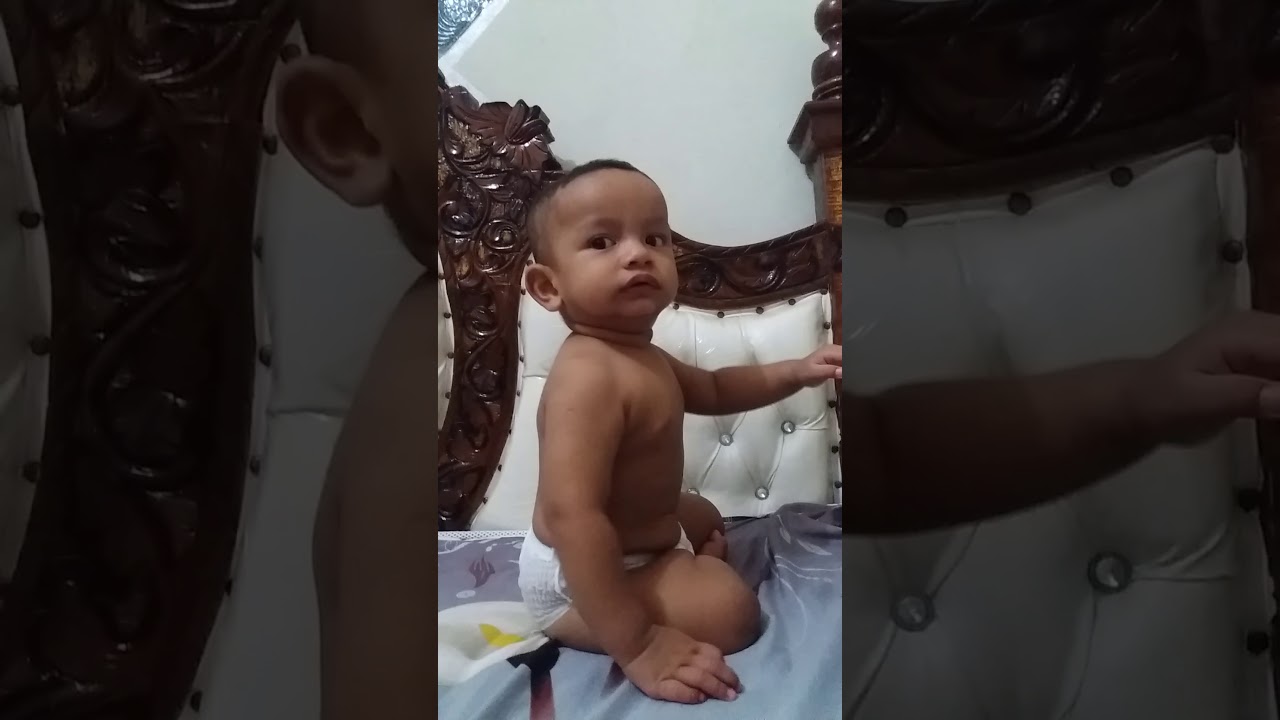 Muhammad Hafiz Mirza