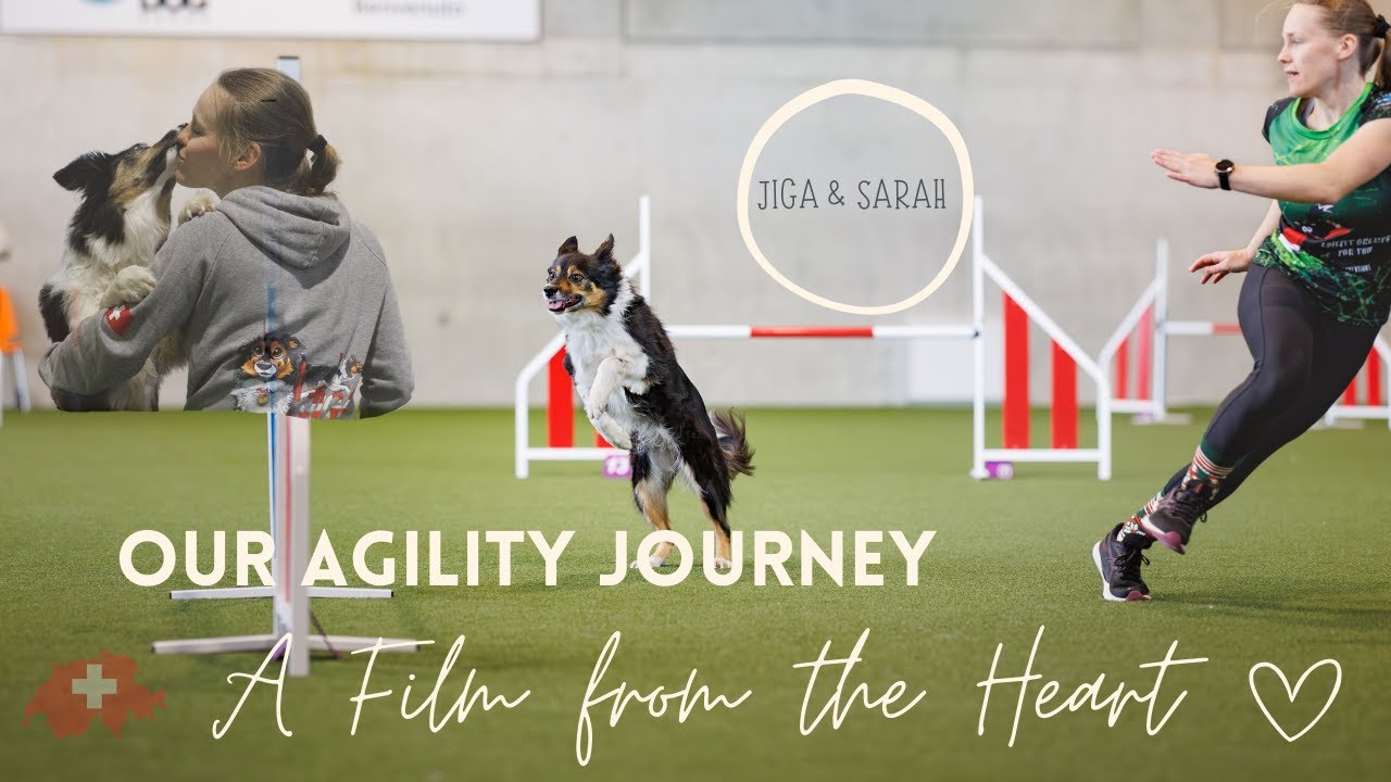 The Last Run .:. Celebrating an Incredible Agility Journey