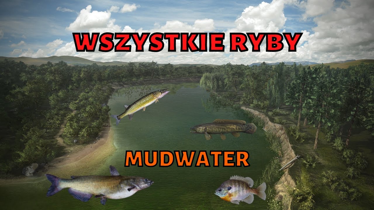jak złowić wszystkie ryby - mudwater eksploracja