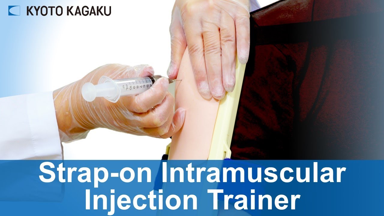 Strap on Intramuscular Injection Trainer M67C Kyoto Kagaku