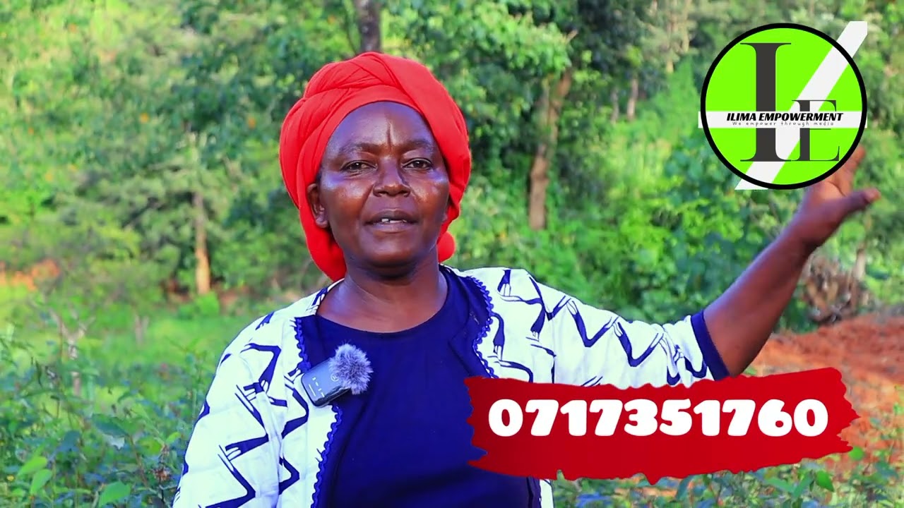 TAITA LADY WHO GOT  MARRIED TO A KAMBA ,LATER VENTURING INTO AGRO~FORESTRY, "WANGARI MATHAI"VERSION