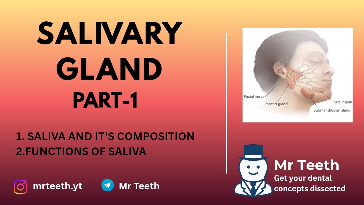 Salivary Gland|Part-1|Dental Histology|Oral Histology|Orban's Dental Histology|Handwritten Notes