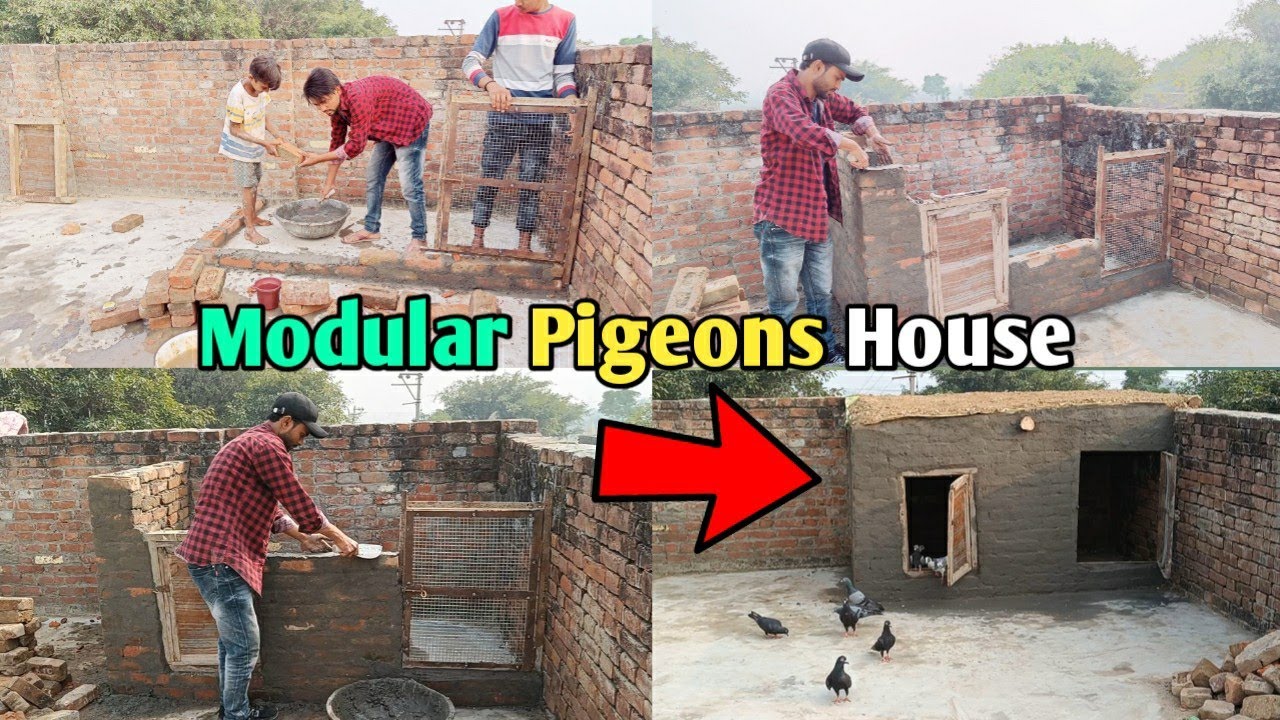 How To Make A Pigeons House Out Of Cement And Brick | कबूतरों का बड़ा दरबा बनाएं आसानी से
