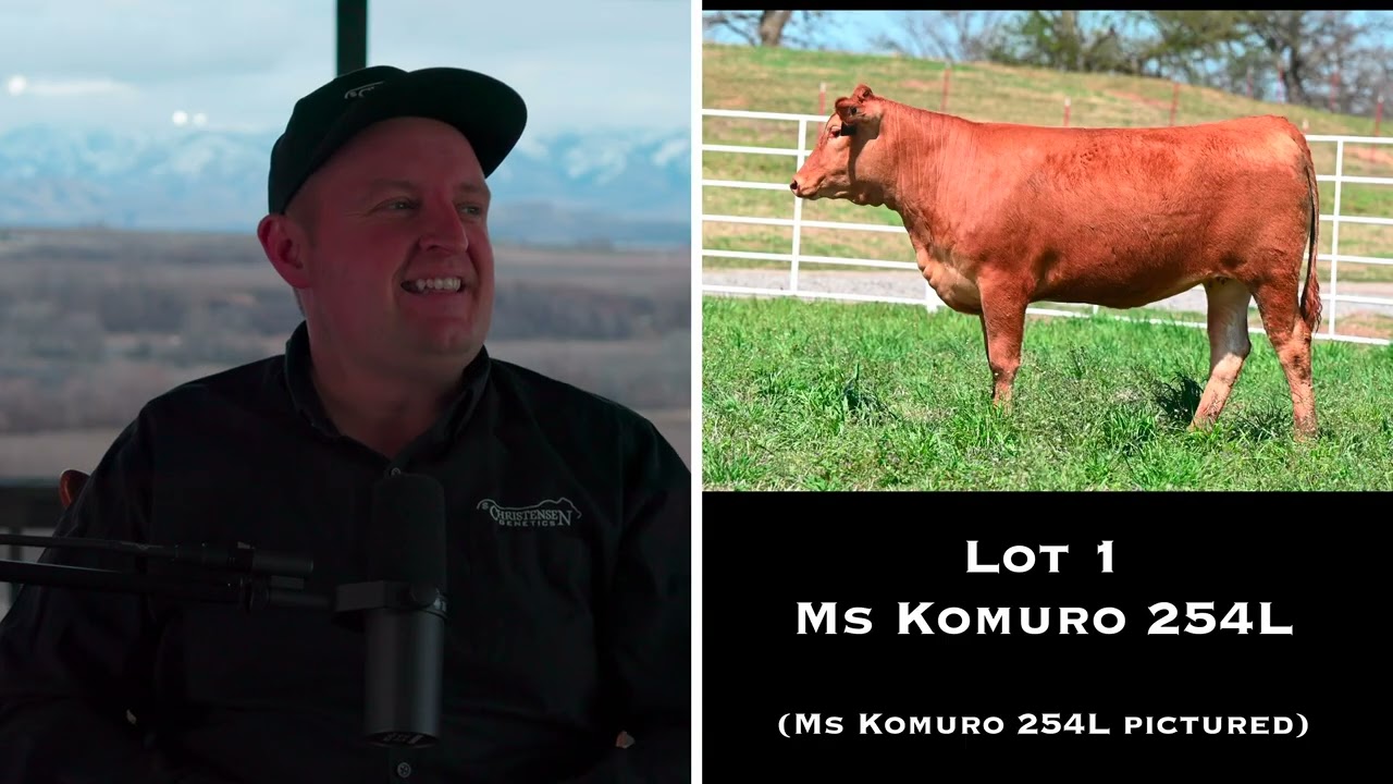 Ep. 40. Rueshaw x Big Al x Namimaru x Dai 8 and more in the February Auction at Christensen Genetics