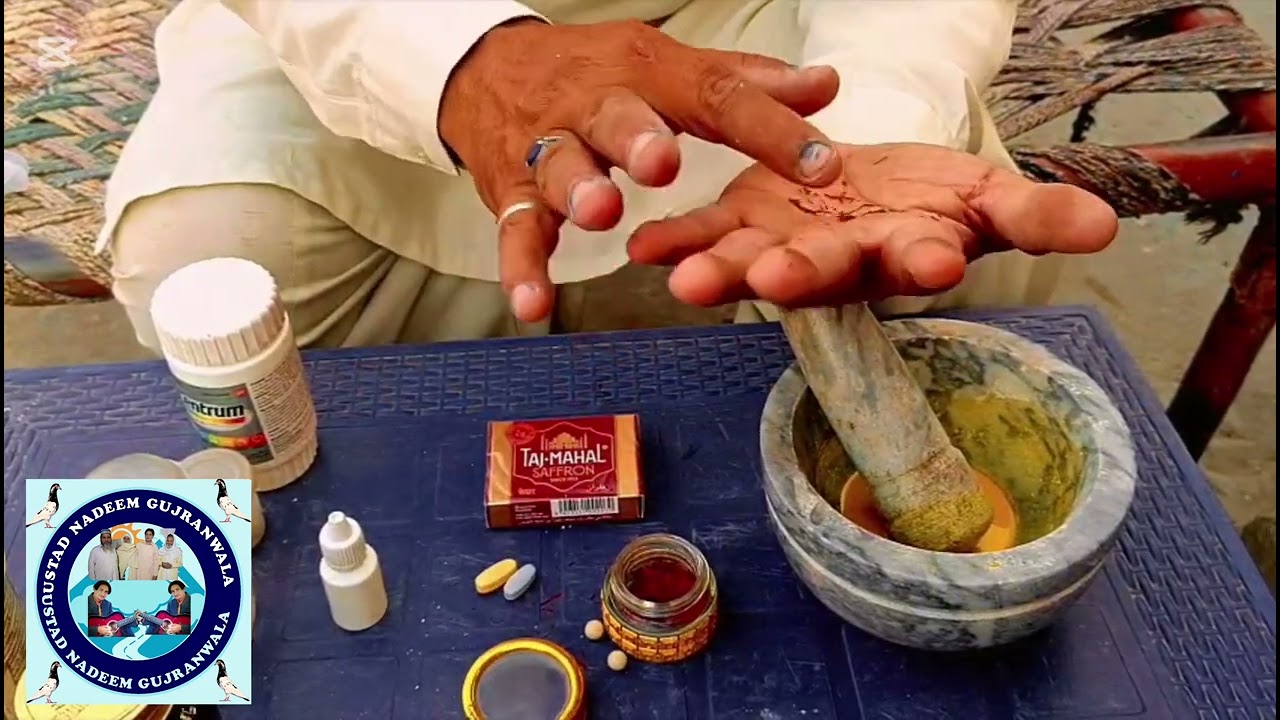 Golden Dana Pani By Ustad Nadeem Gujranwala |گولڈن پروآزی دانہ پانی استاد ندیم گوجرانولہ