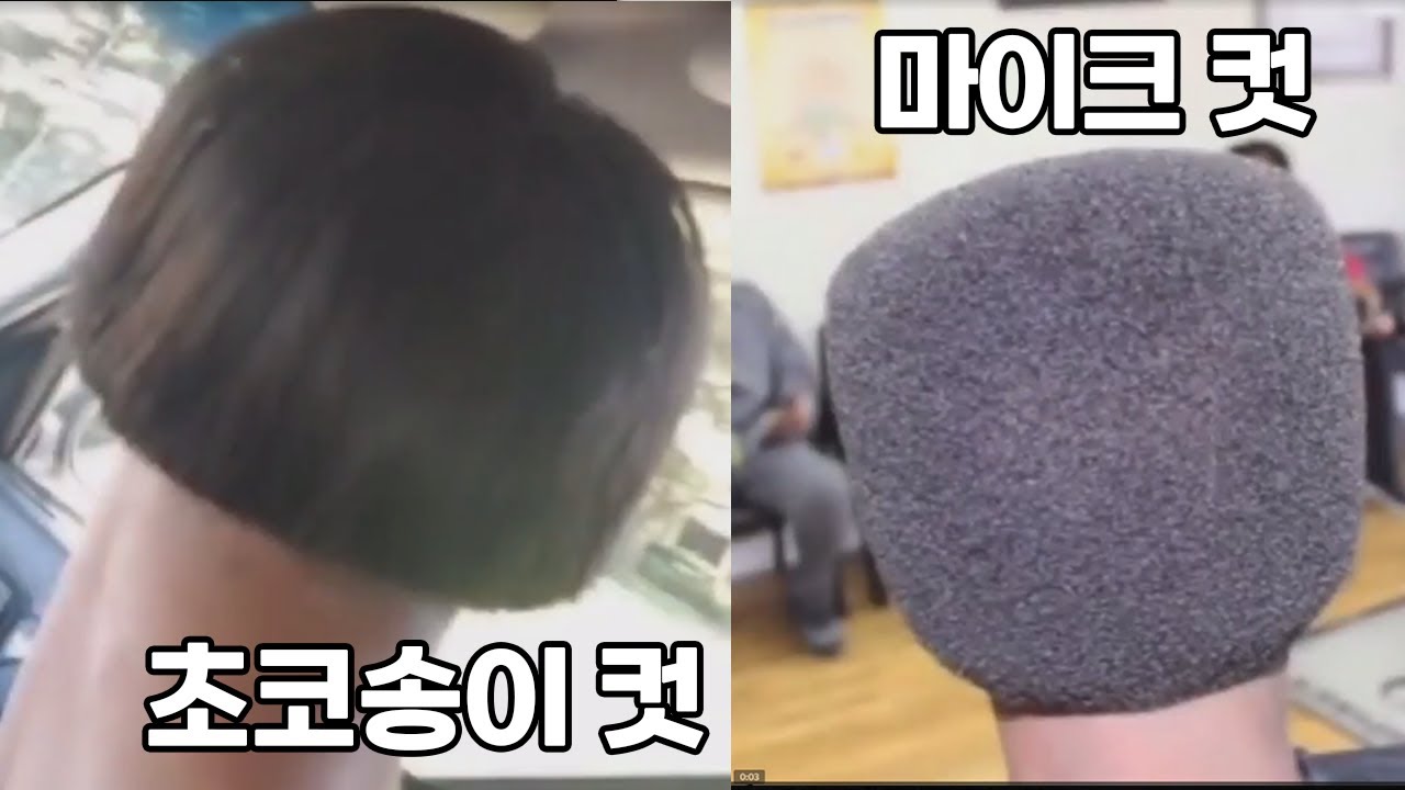 연예인 머리로 해주세요 【웃긴 밈 짤 모음】