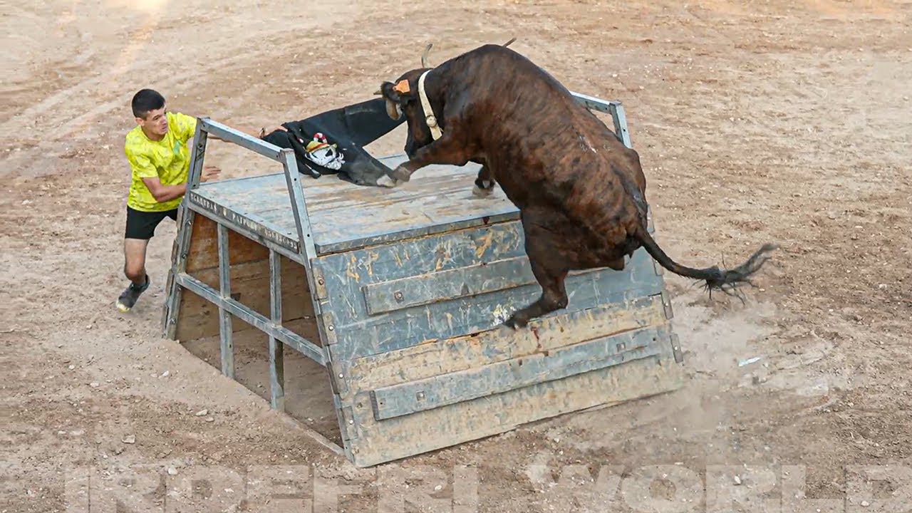 Agost 2024 Ganader&iacute;a El Salero