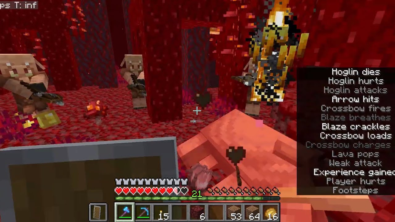 Actually SURVIVING the Nether