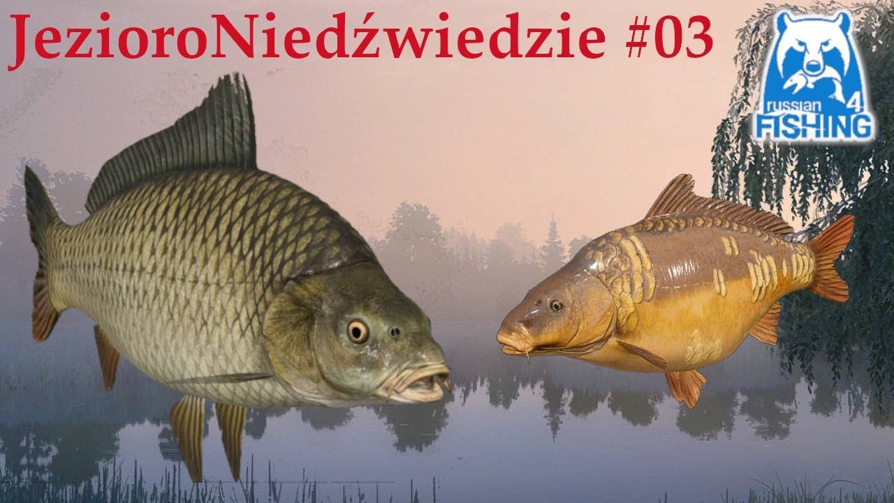 Russian Fishing 4 - Karp Pospolity spot Jezioro Niedźwiedzie | Bear Lake #03