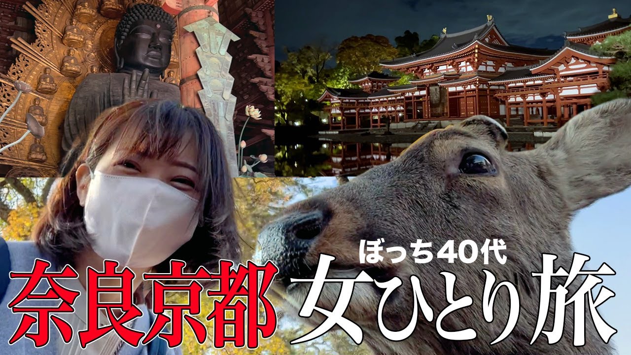 40代独身女の日帰りボッチ旅｜鹿せんべい・大仏・ライトアップに立ち食いうどん【奈良・京都】