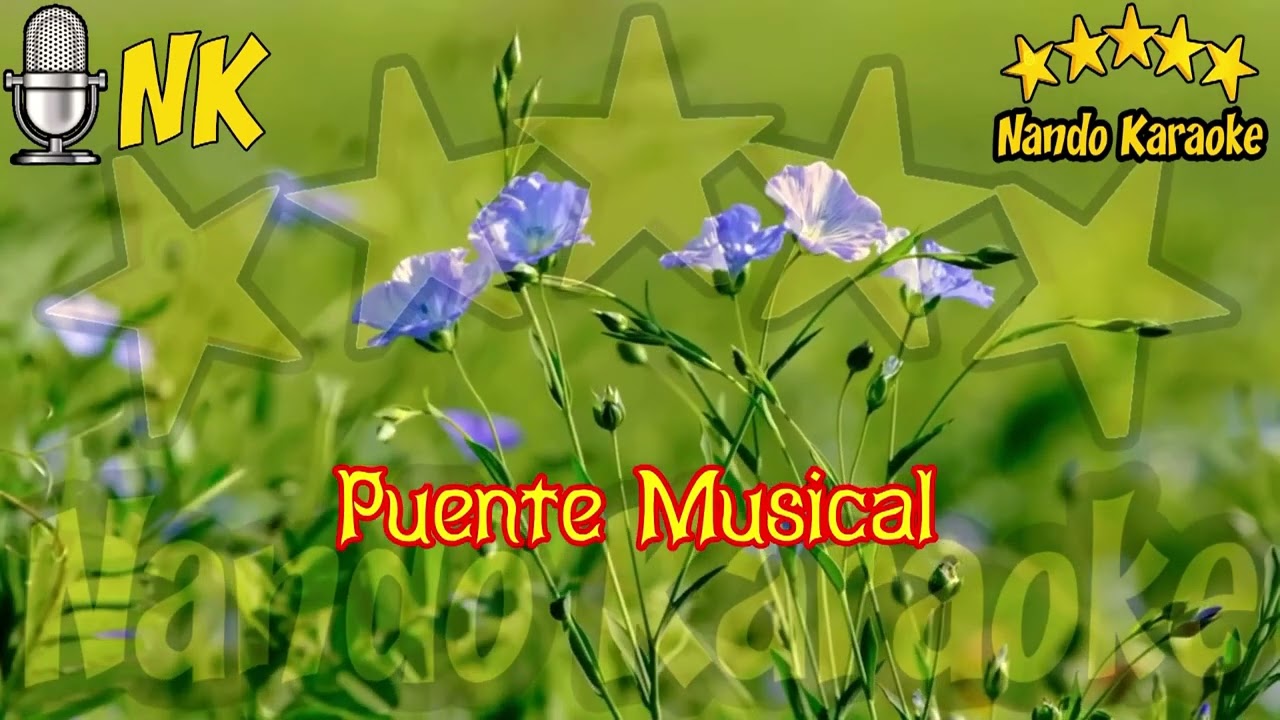 SABOR A PROHIBIDO - Leo Dan Karaoke