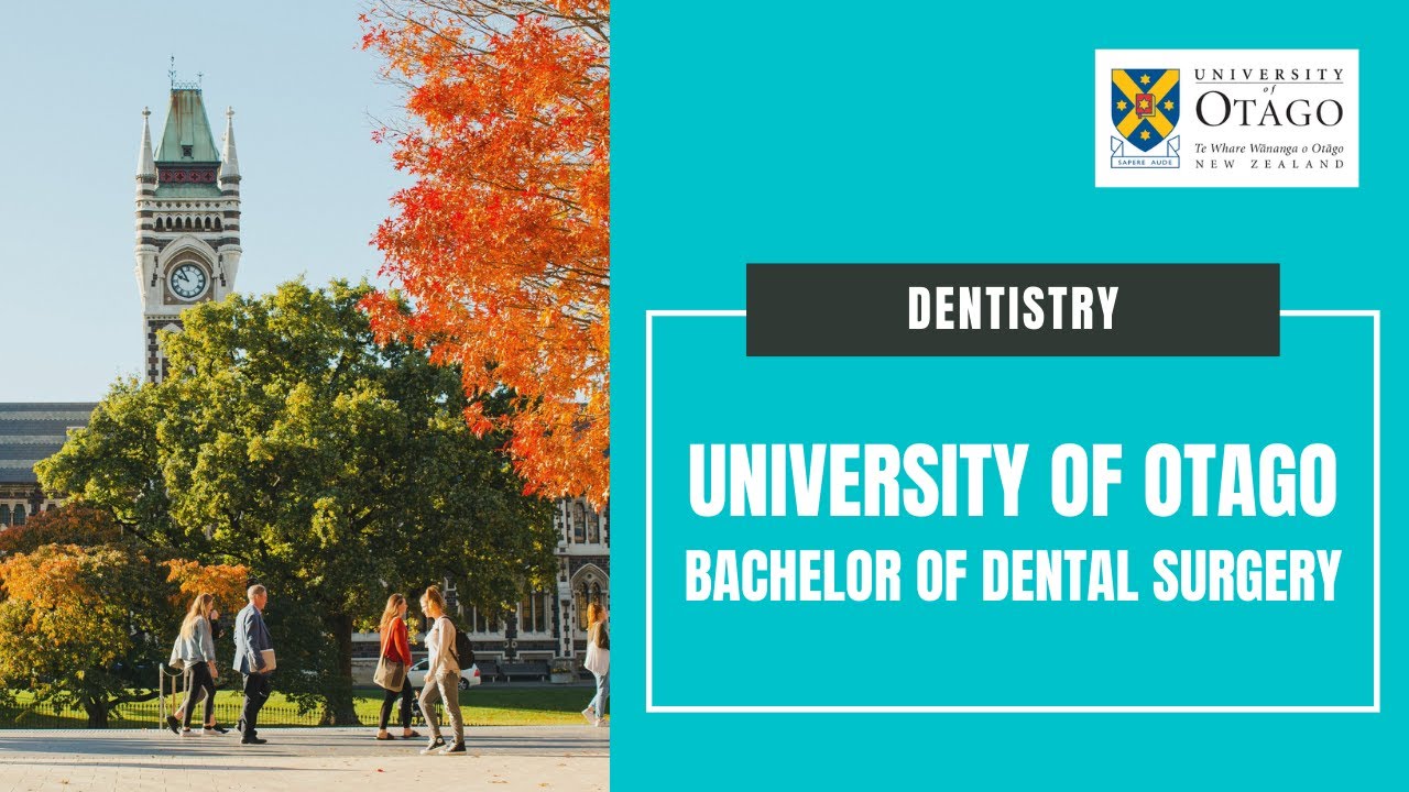Dental School: Studying Dentistry at the University of Otago