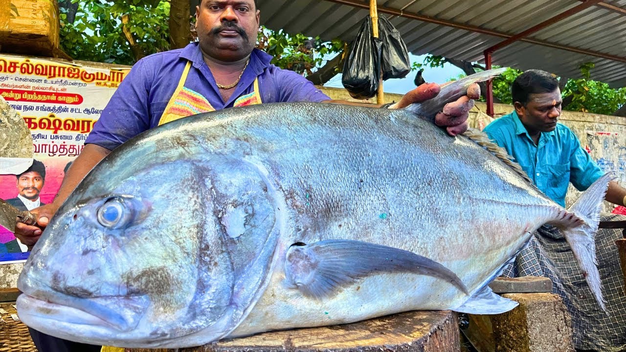 KASIMEDU 🔥 SPEED SELVAM | 32 KG GIANT TREVALLY FISH CUTTING VIDEO | FF CUTTING 🔪
